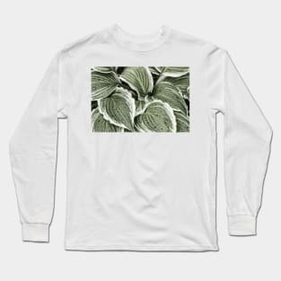 Hosta Leaves In The Rain 6 Long Sleeve T-Shirt